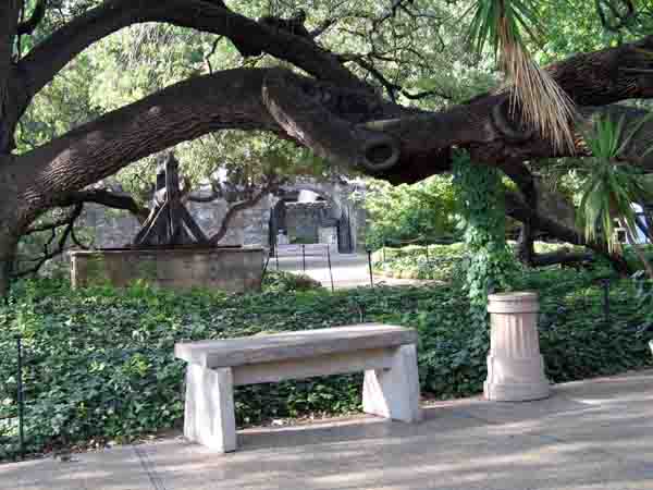AlamoGrounds-061905-627p