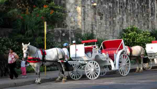 horse&Carriage-061905-715p
