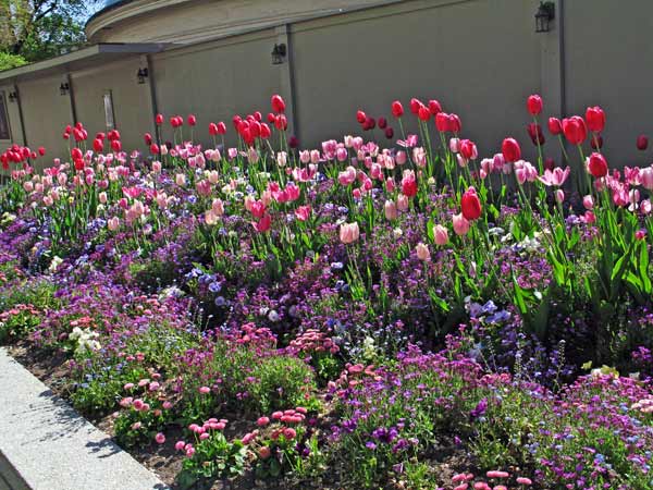 4904-LDS-Flowers-051006-502p