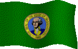washington flag