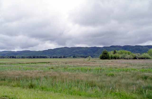6386-WillapaBay-052606-1058a