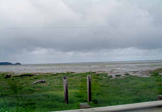 6387-WillapaBay-052606-1105a