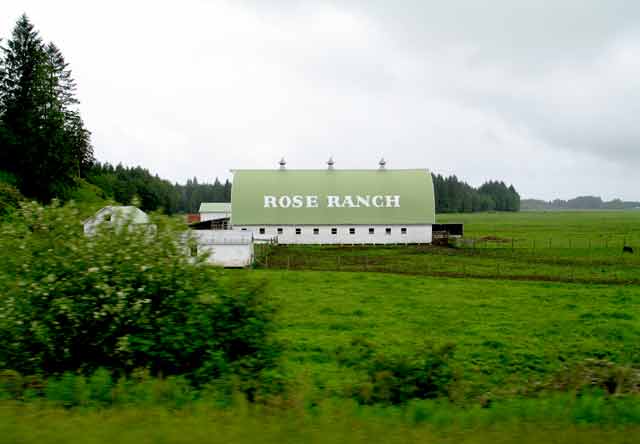 6391-RoseRanchBarn-052606-1109a