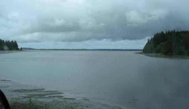 6408-WillapaBay-052606-1130a