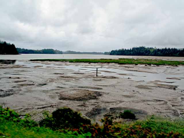 6406-MudFlats-052606-1120a