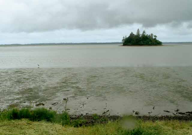 6410-WillapaBay-052606-1133a