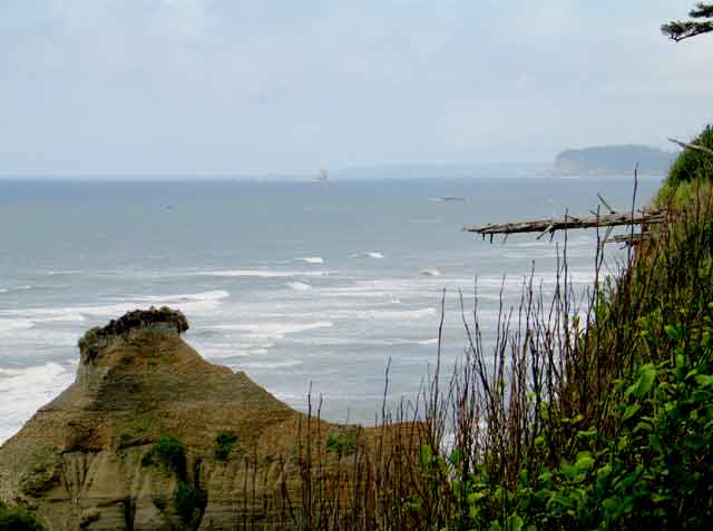 6262-WashingtonCoast-052406-237p