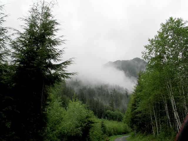 6298-ForestRoad-052506-951a
