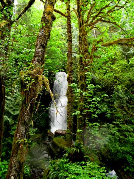 6303-Waterfall-052506-956a