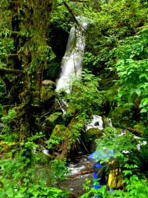 6307-Waterfall-052506-957a