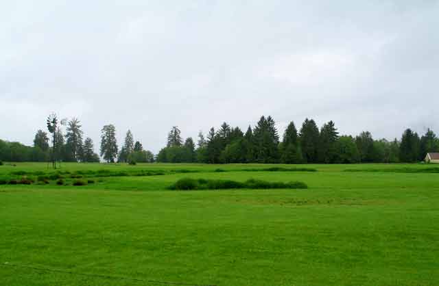 6313-GolfCourse-052506-1007a