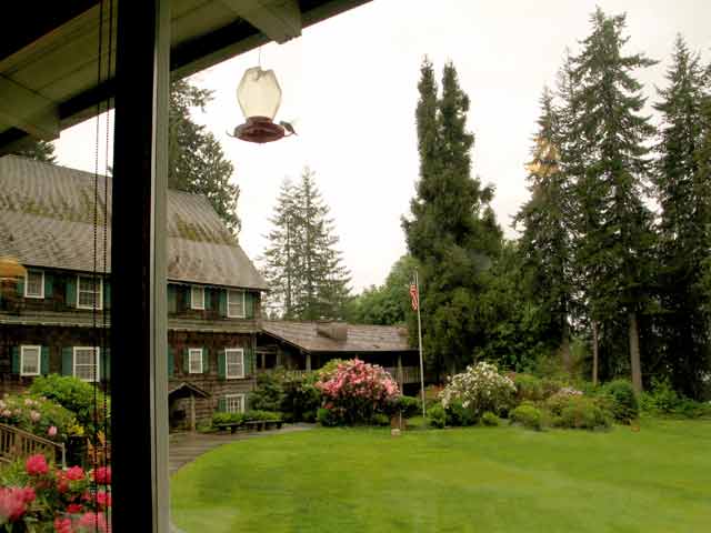 6319-LodgeLawn-HummingBird-052506-1024a