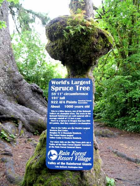 6344-LargestSpruceSign-052506-1204p