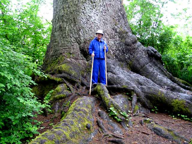 6345-OwenPosesOnRoot-052506-1204p