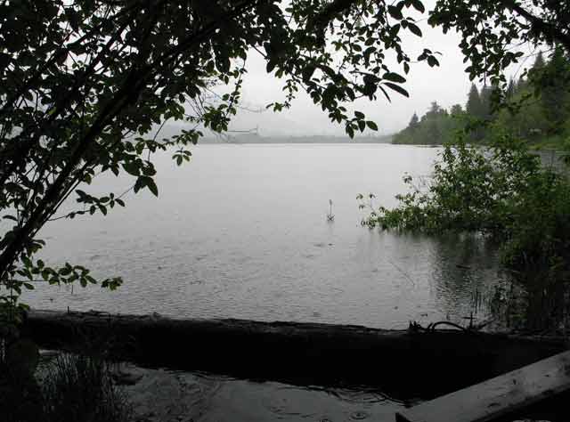 6372-RainDrops-052506-101p