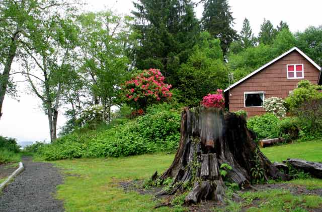 6380-Stump&House-052506-113p