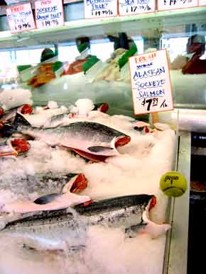 1030-Sockeye@799-070922-424p