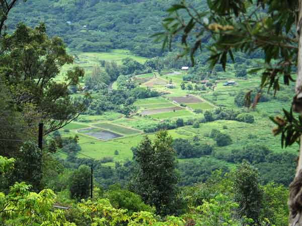 valley farmland.