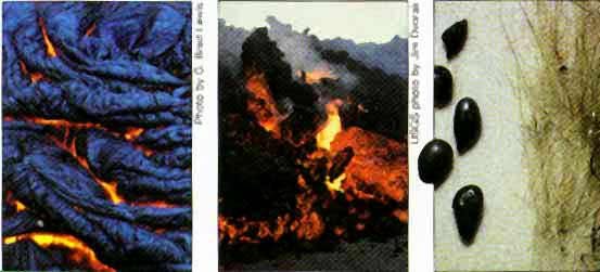 Hawaiian Lava Types