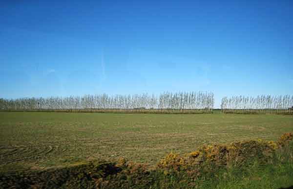 3090-YoungWindBreak-071019-438p