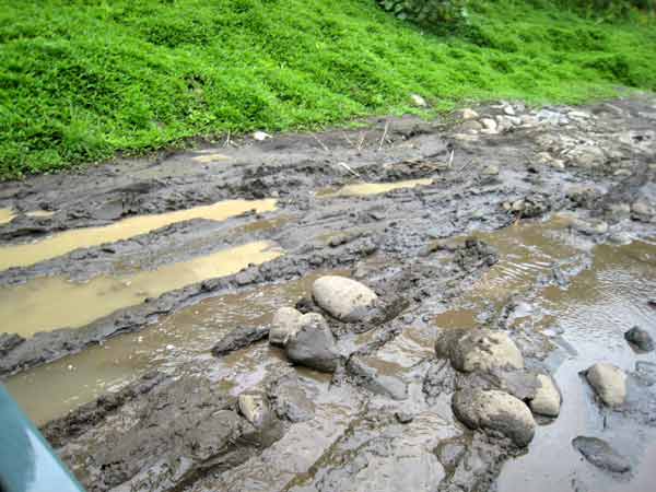 1695-MuddyRoad-071007-1250p